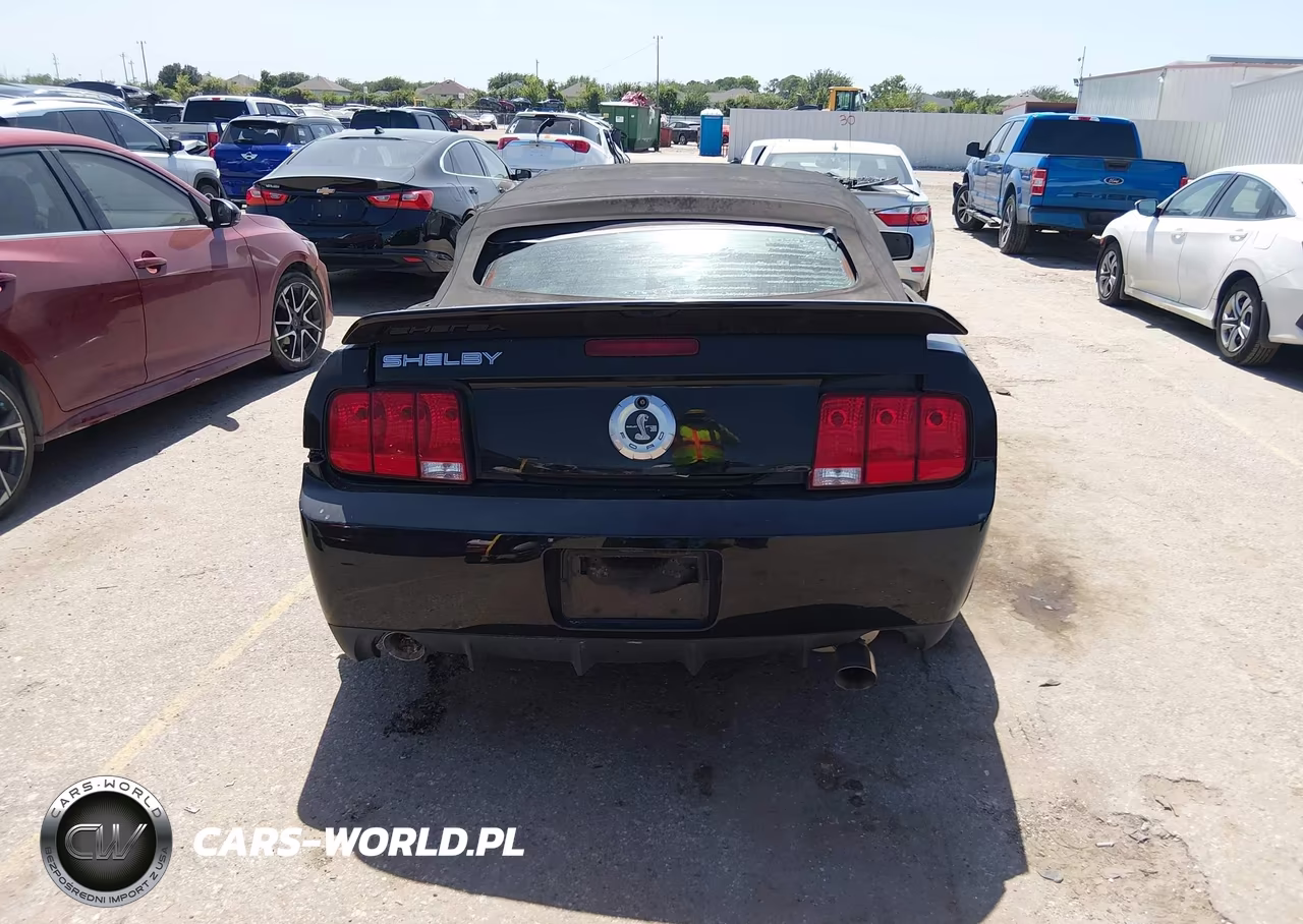 2009 Ford Shelby Gt500 VIN:1ZVHT89S195144246 - 17