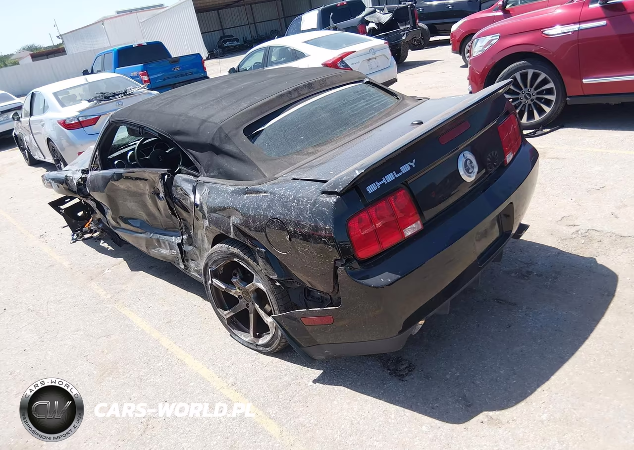 2009 Ford Shelby Gt500 VIN:1ZVHT89S195144246 - 3