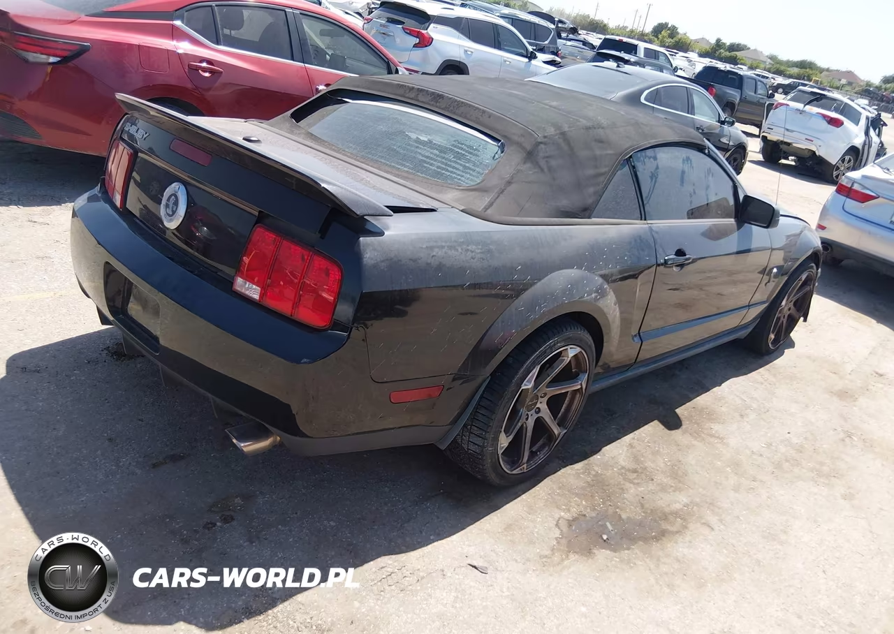 2009 Ford Shelby Gt500 VIN:1ZVHT89S195144246 - 4