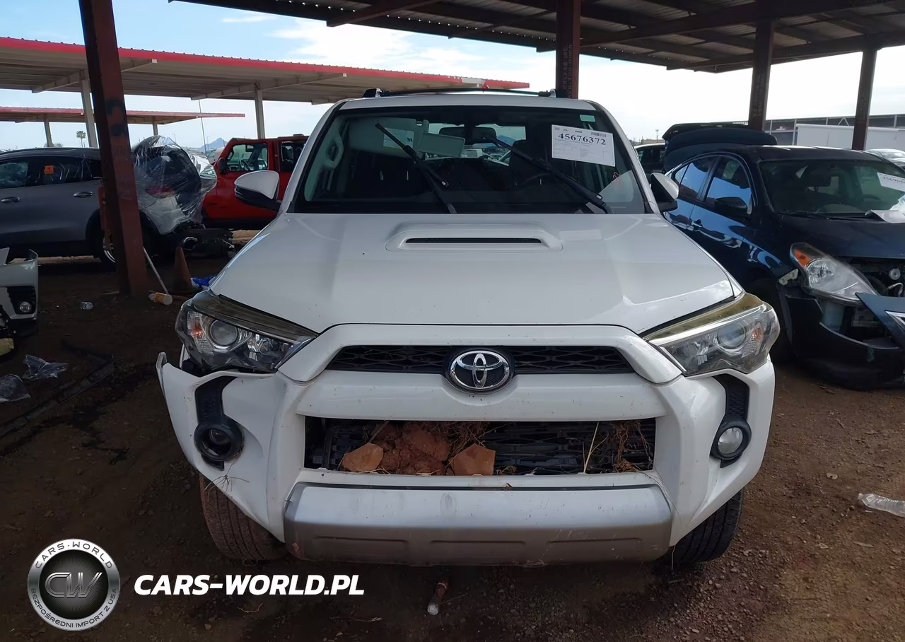 2017 Toyota 4Runner Trd Off Road Premium VIN:JTEBU5JR5H5452902 - 13