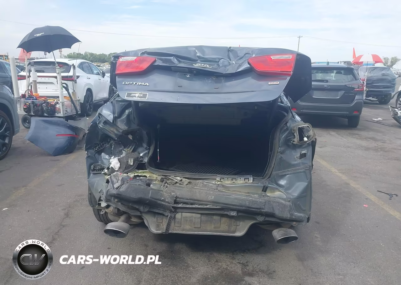2015 Kia Optima Lx VIN:KNAGM4A78F5549038 - 17