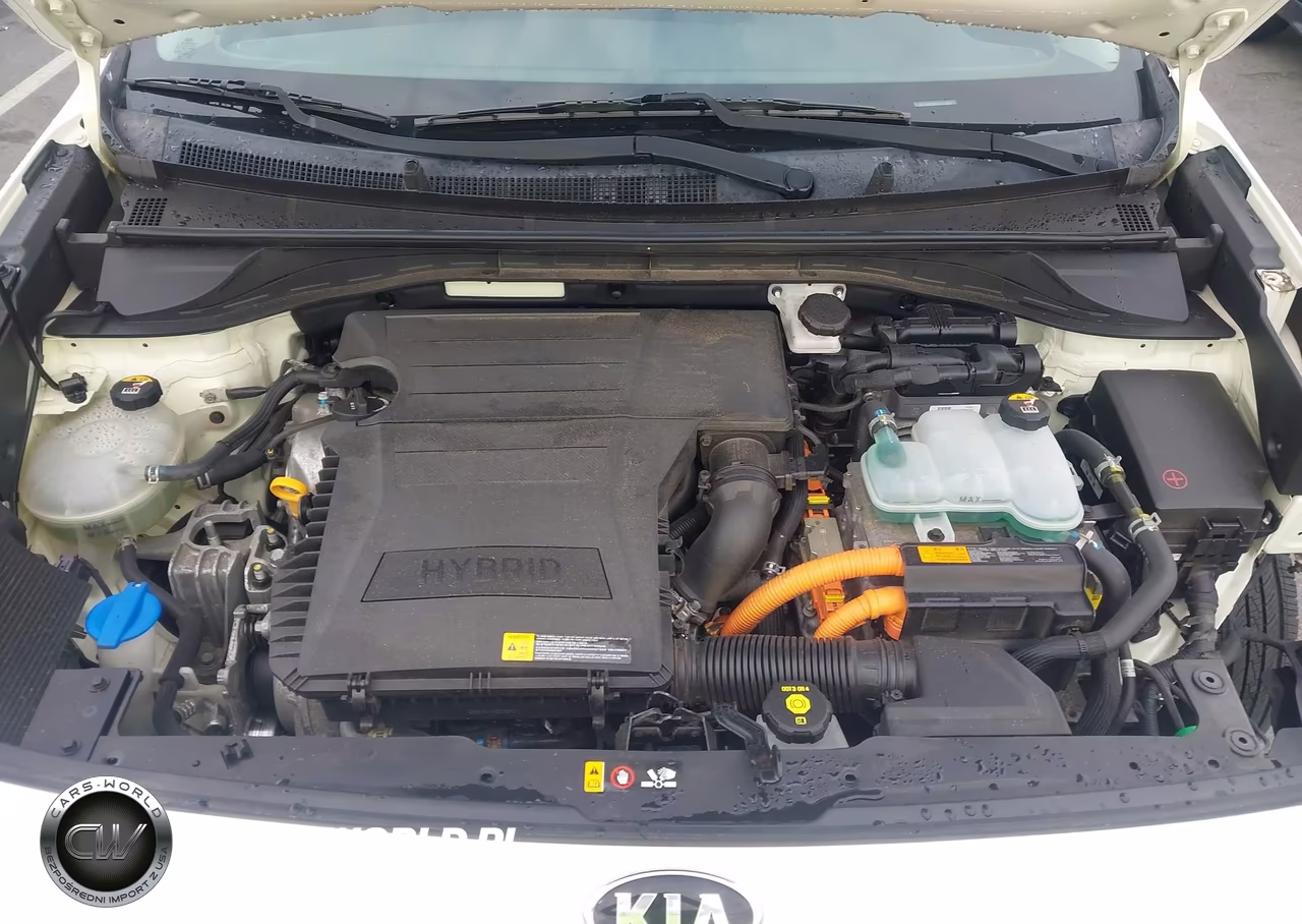 2017 Kia Niro Lx VIN:KNDCB3LC6H5085049 - 10