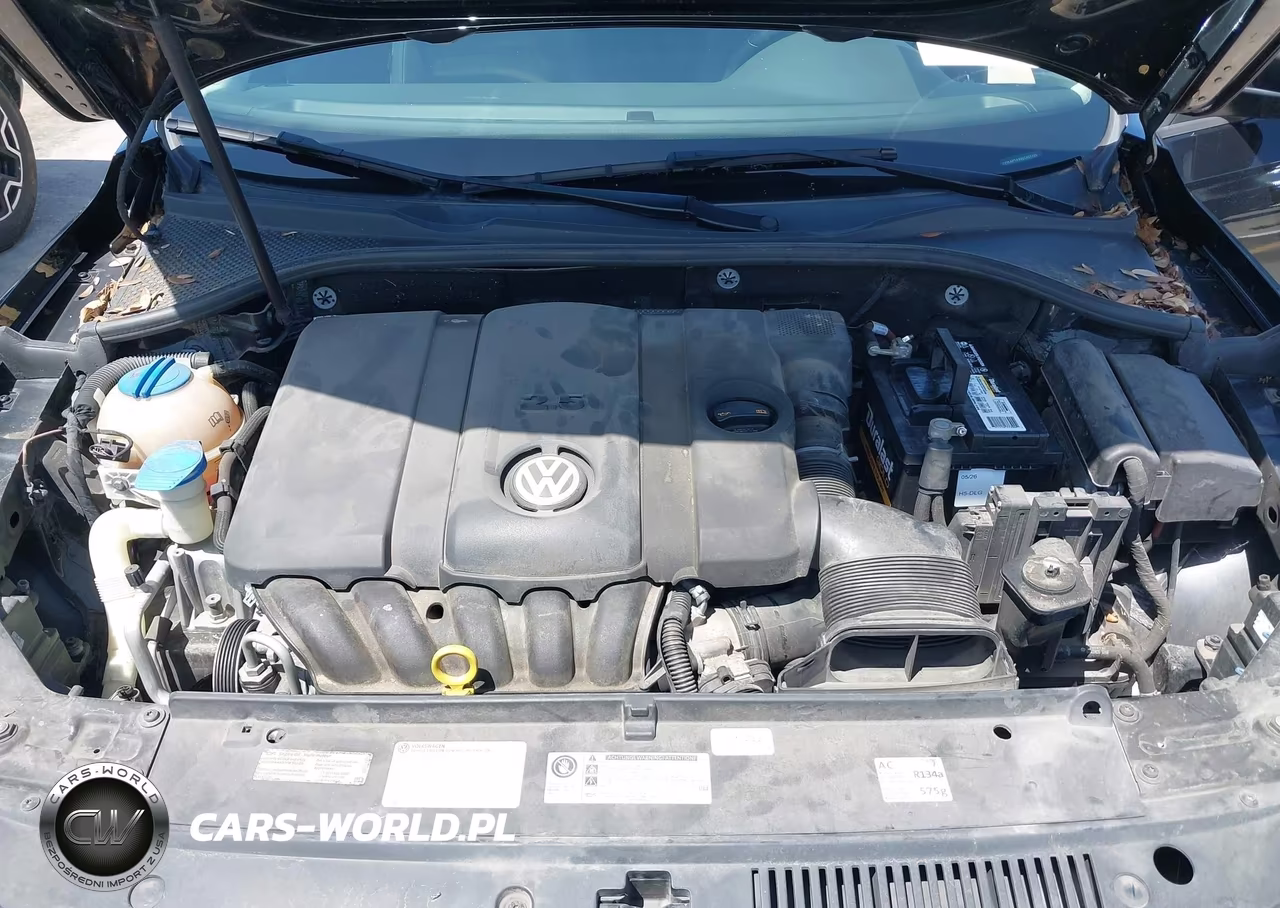2014 Volkswagen Passat 2.5L Wolfsburg Edition VIN:1VWAP7A39EC021725 - 10
