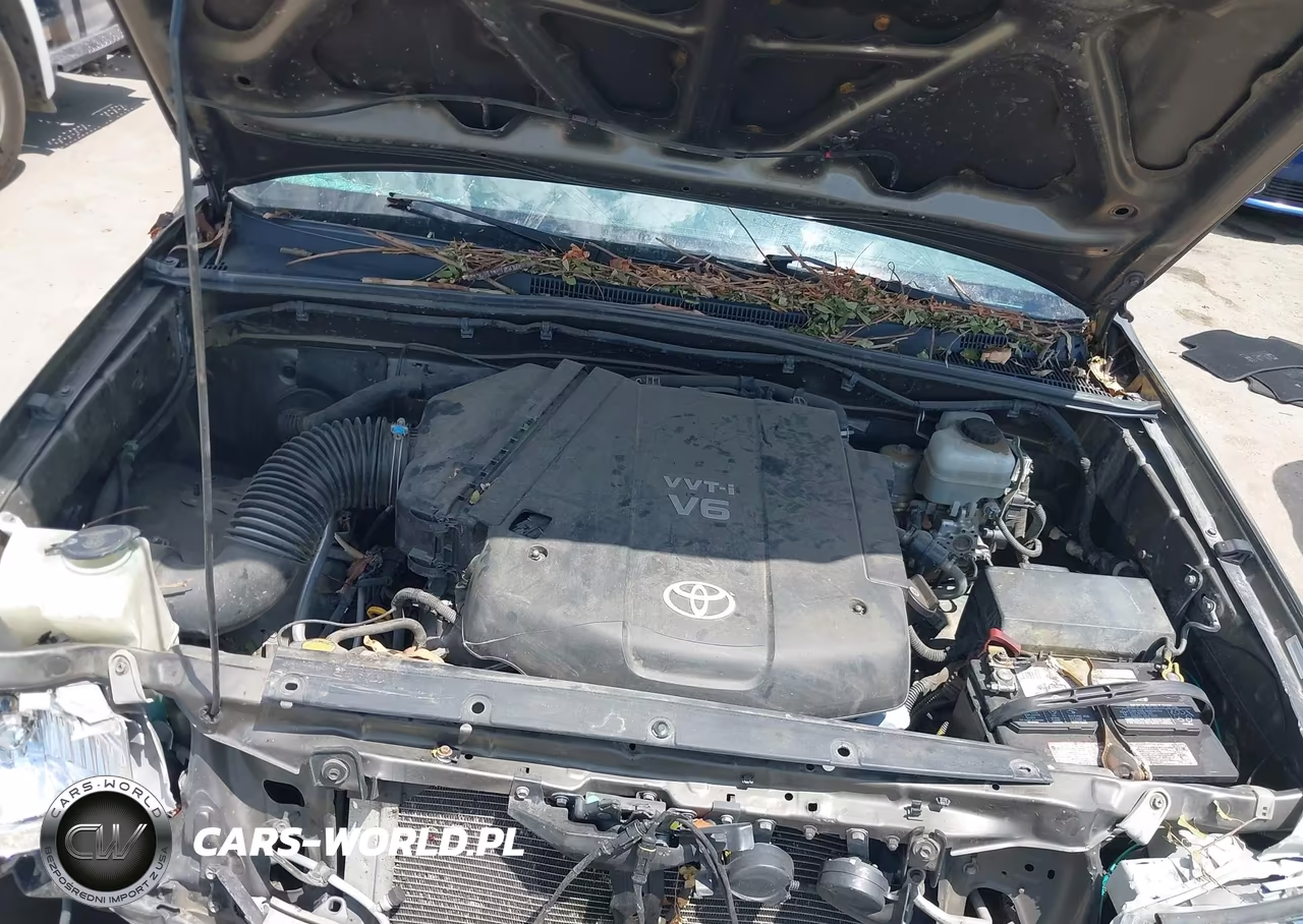 2009 Toyota Tacoma Base V6 VIN:3TMLU42N69M036674 - 10