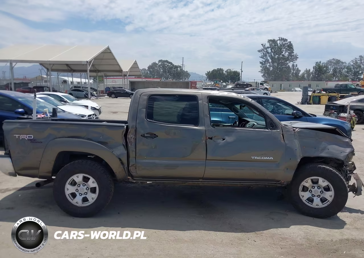 2009 Toyota Tacoma Base V6 VIN:3TMLU42N69M036674 - 18
