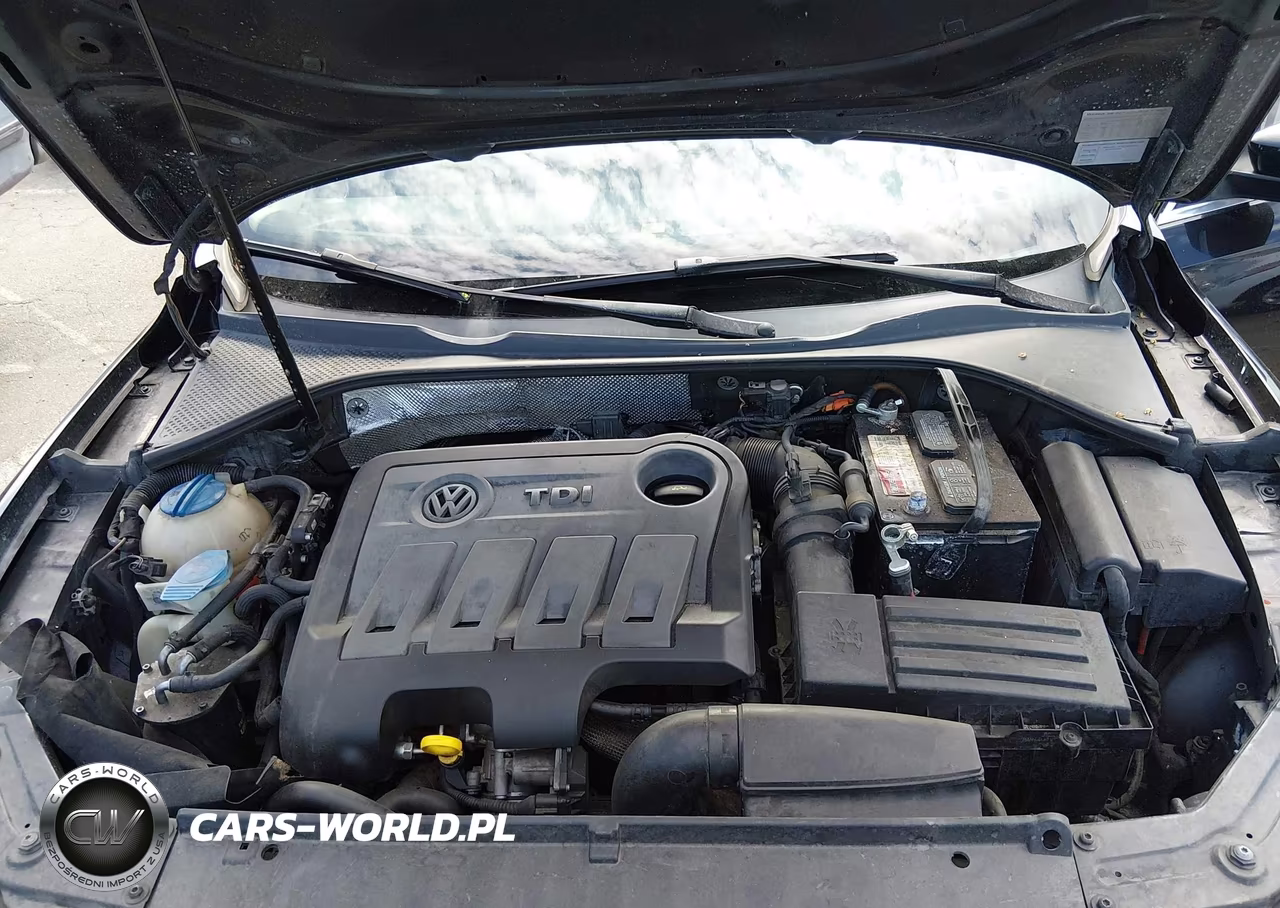 2014 Volkswagen Passat 2.0L Tdi Sel Premium VIN:1VWCN7A36EC084585 - 10