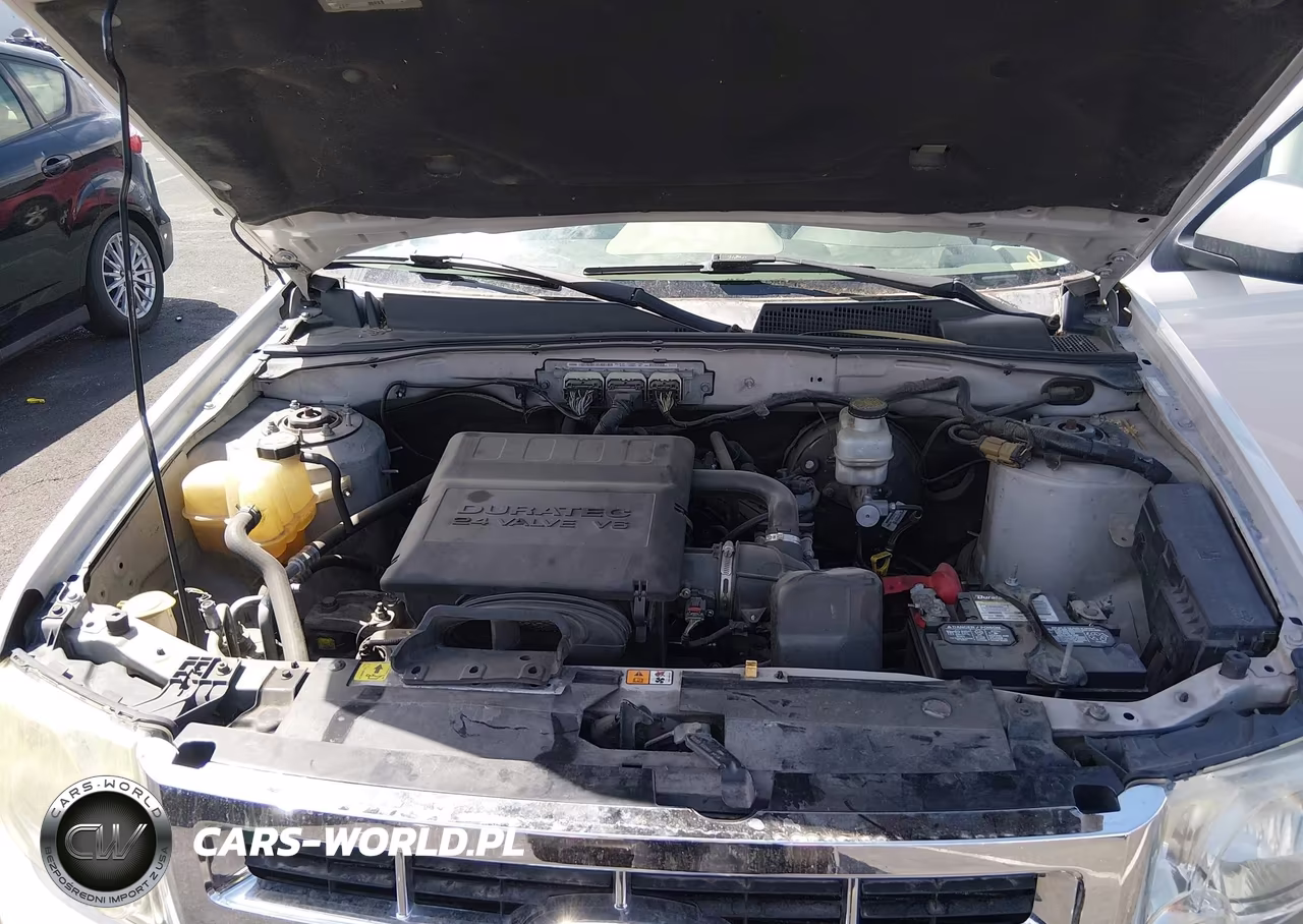 2009 Ford Escape Xlt VIN:1FMCU93G69KB28545 - 10