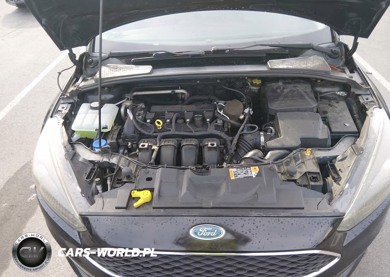 2015 Ford Focus Se VIN:1FADP3F22FL360519 - 10