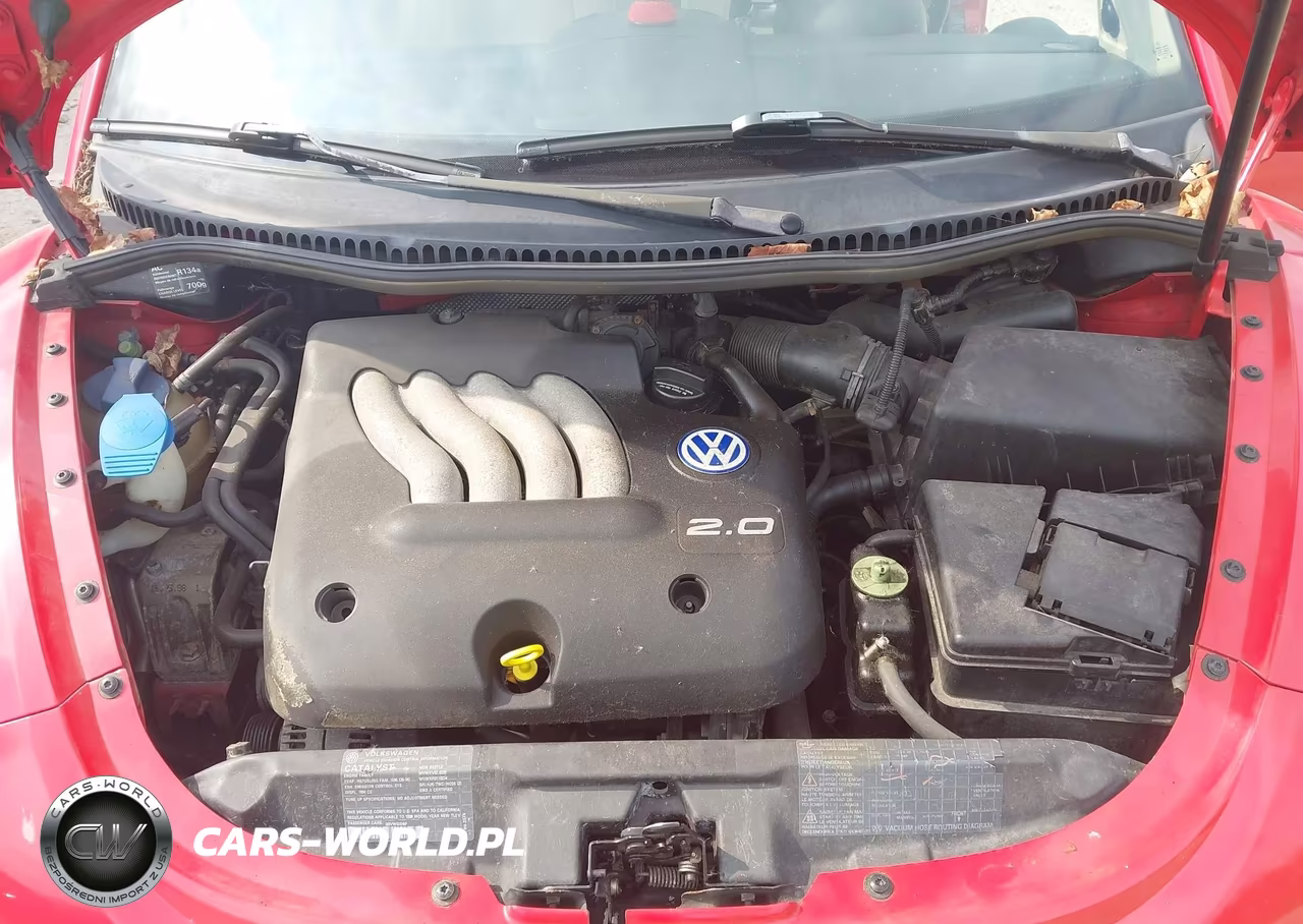 1998 Volkswagen New Beetle VIN:3VWBB61C6WM050127 - 10