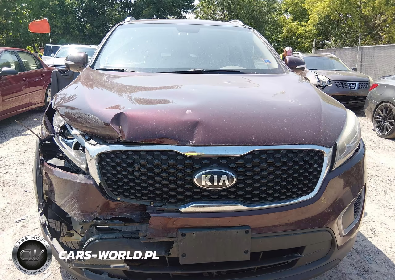 2017 Kia Sorento 2.4L Lx VIN:5XYPG4A39HG192244 - 12