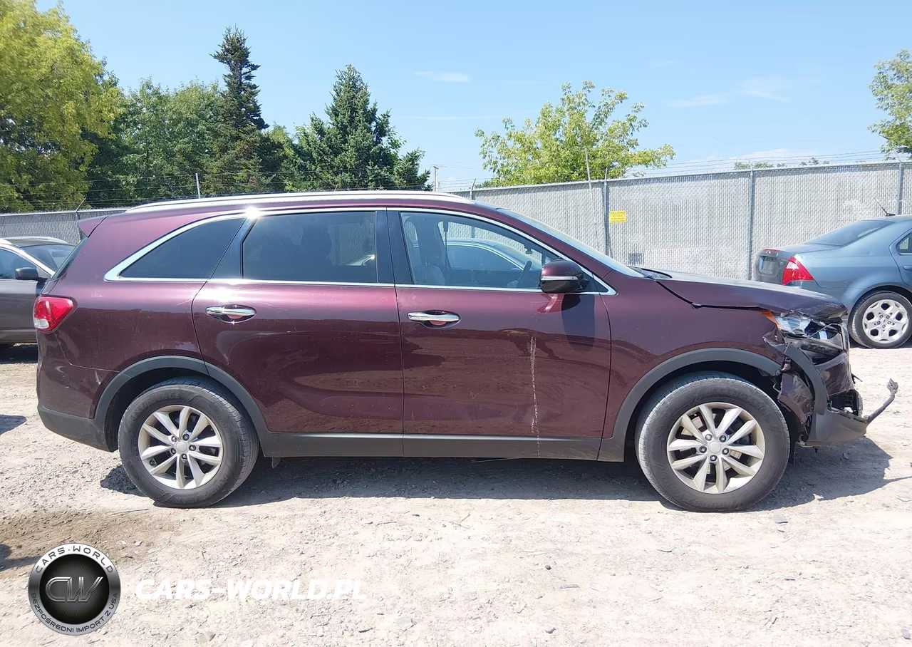 2017 Kia Sorento 2.4L Lx VIN:5XYPG4A39HG192244 - 13