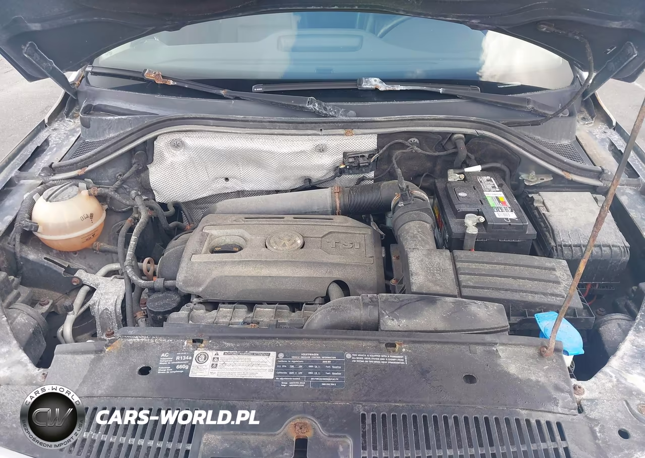 2010 Volkswagen Tiguan Se VIN:WVGBV7AX4AW509064 - 10