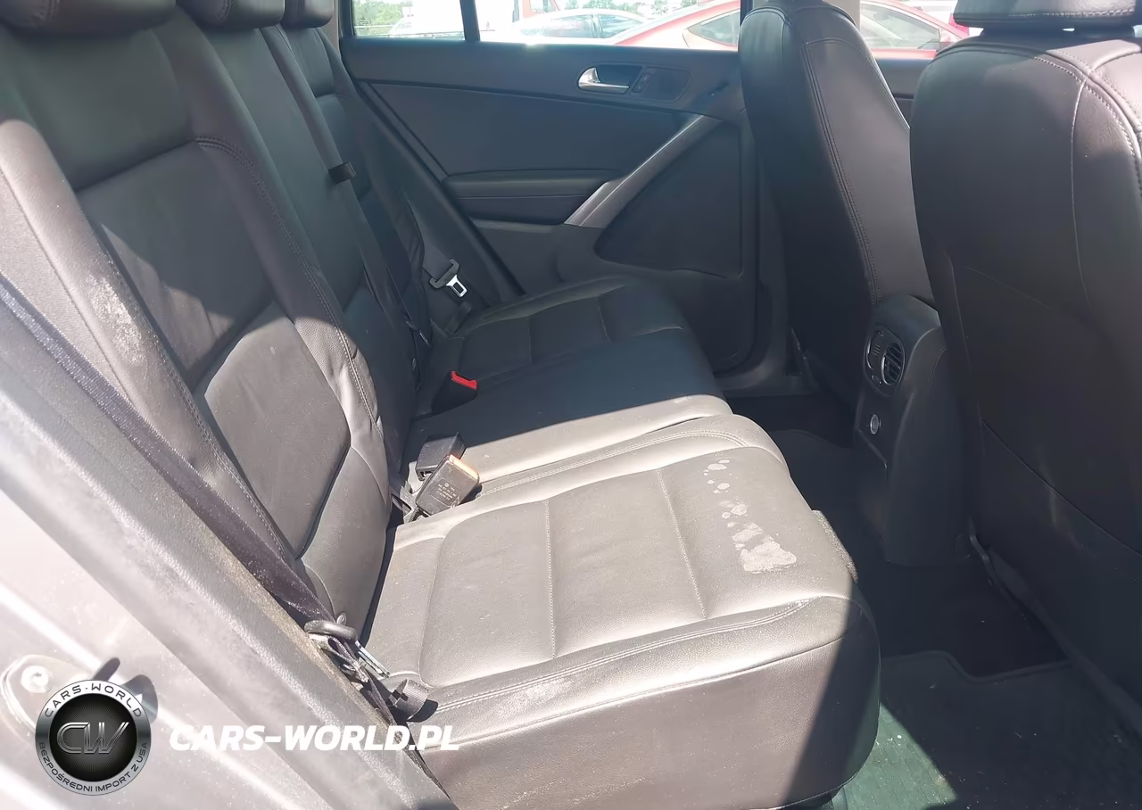 2010 Volkswagen Tiguan Se VIN:WVGBV7AX4AW509064 - 8