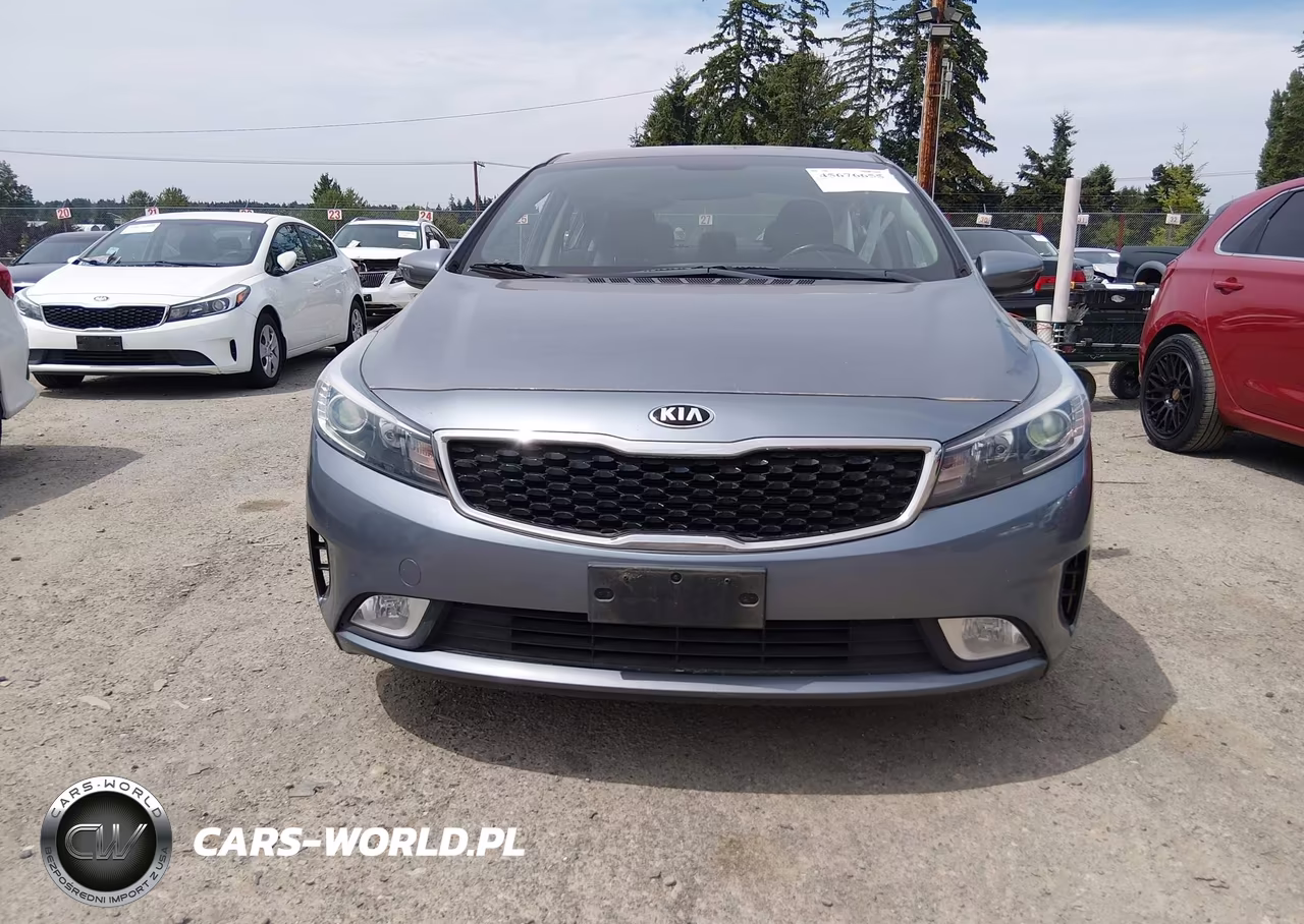 2018 Kia Forte Ex VIN:3KPFL4A89JE165793 - 12