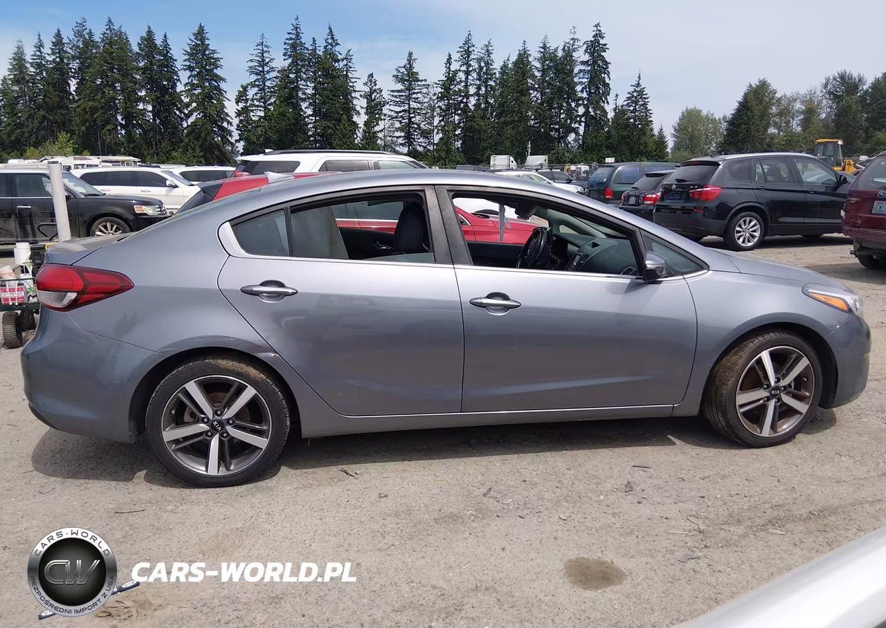 2018 Kia Forte Ex VIN:3KPFL4A89JE165793 - 13