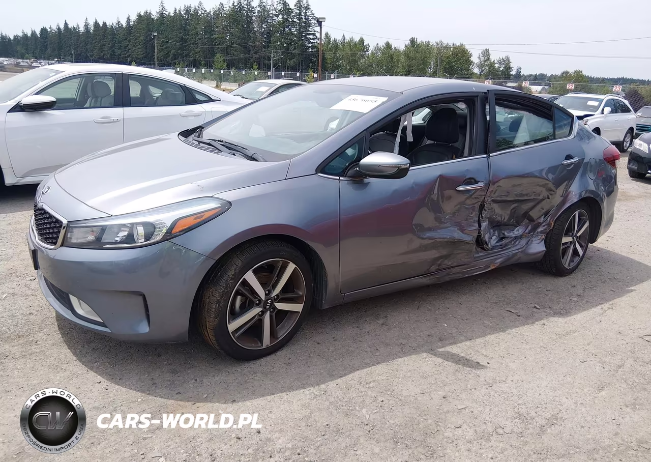 2018 Kia Forte Ex VIN:3KPFL4A89JE165793 - 2