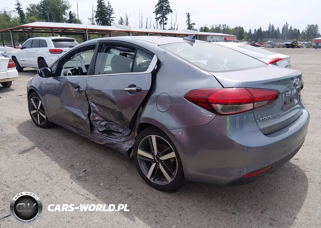 2018 Kia Forte Ex VIN:3KPFL4A89JE165793 - 3