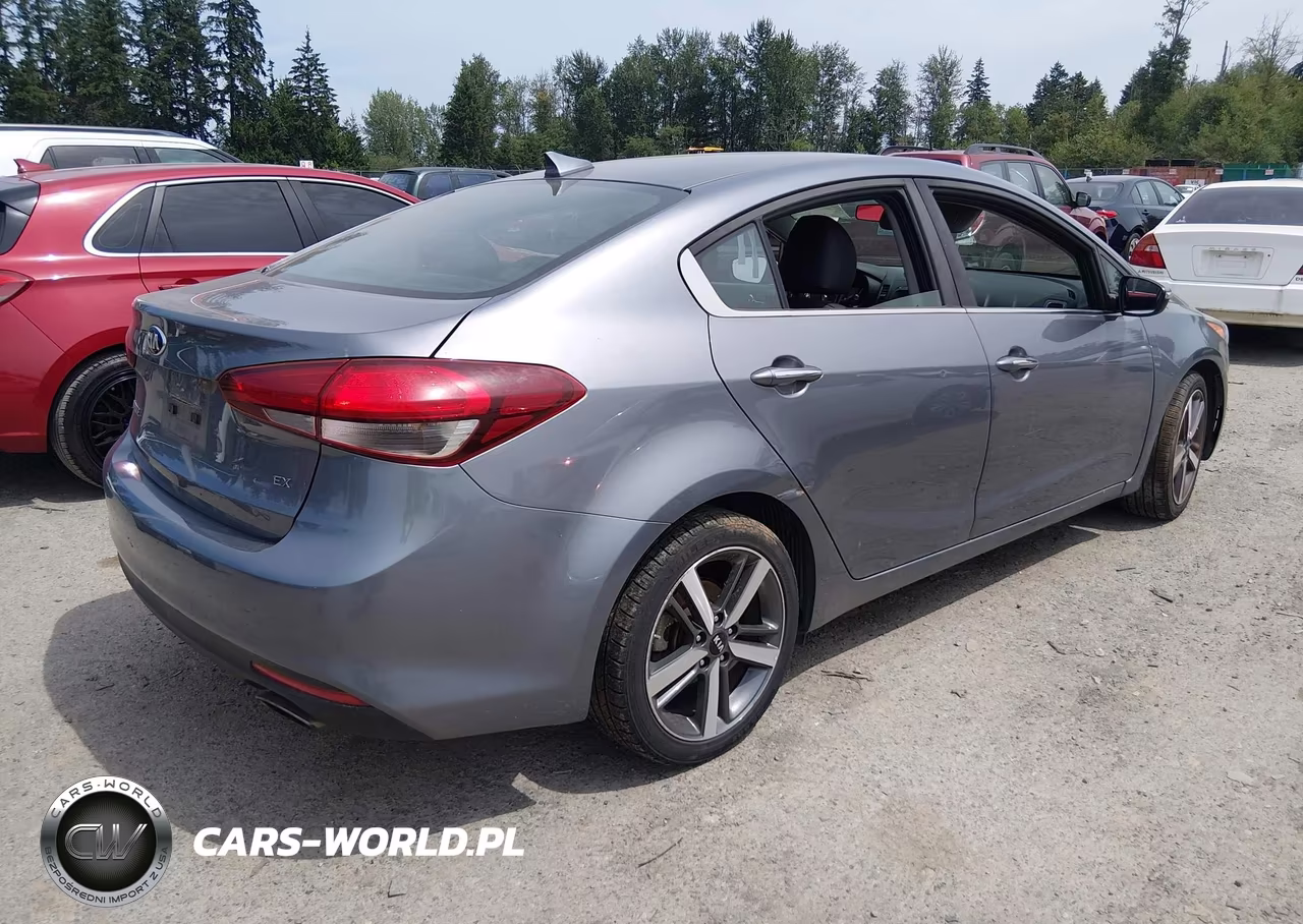 2018 Kia Forte Ex VIN:3KPFL4A89JE165793 - 4