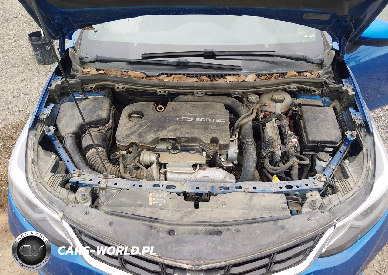 2016 Chevrolet Cruze Lt Auto VIN:1G1BE5SM1G7243804 - 10