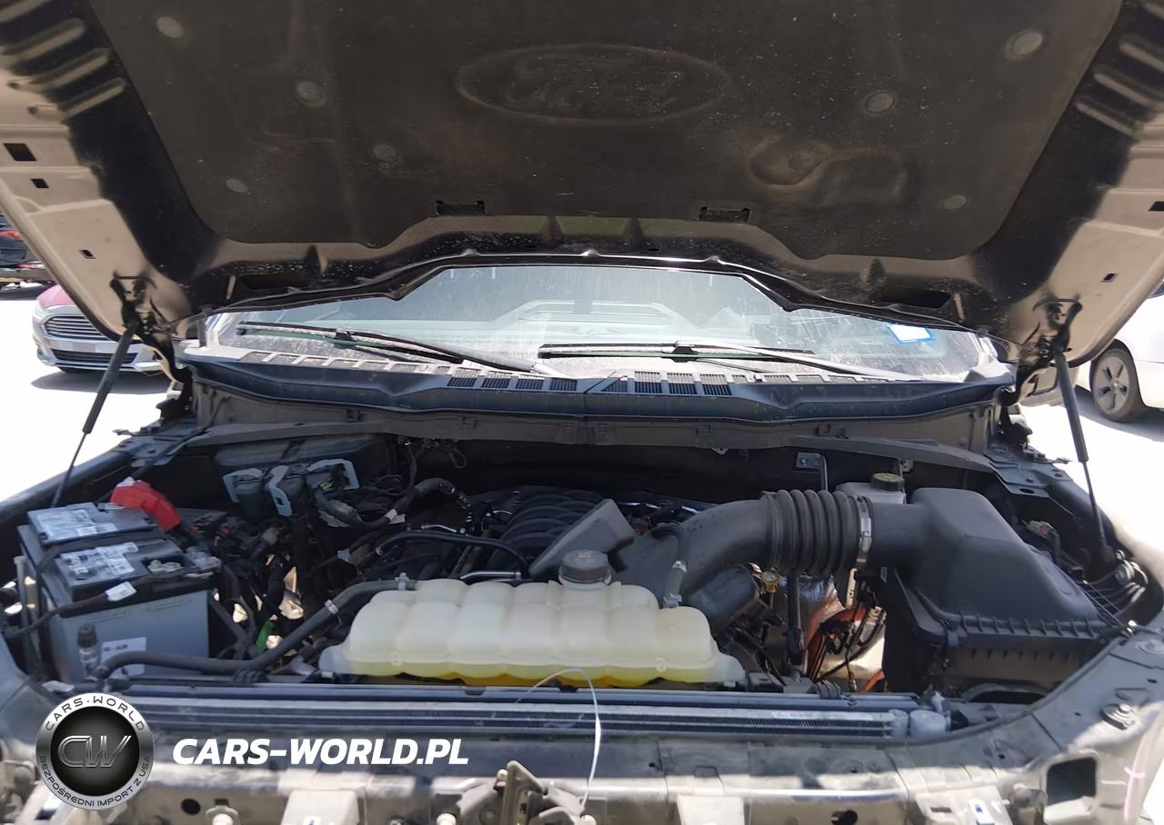 2024 Ford F-150 Xlt VIN:1FTFW3L53RFC03170 - 10