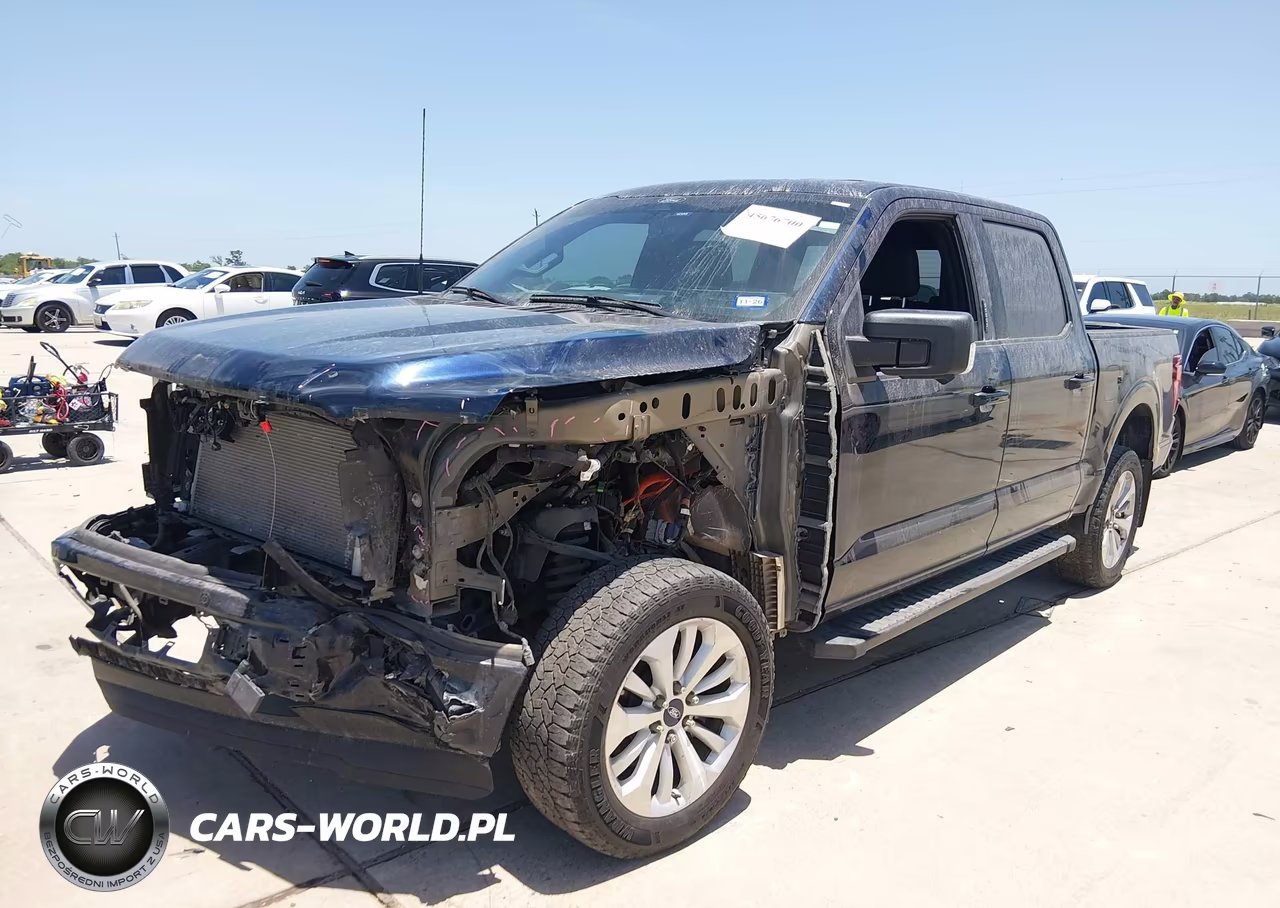 2024 Ford F-150 Xlt VIN:1FTFW3L53RFC03170 - 2