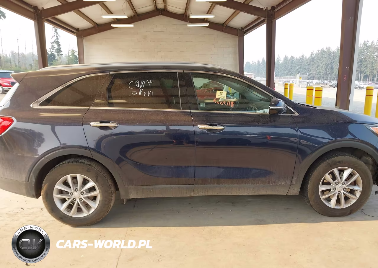 2016 Kia Sorento 2.4L Lx VIN:5XYPG4A34GG171851 - 13