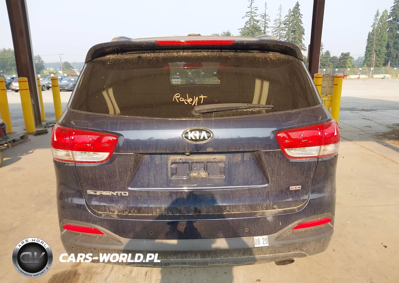 2016 Kia Sorento 2.4L Lx VIN:5XYPG4A34GG171851 - 16