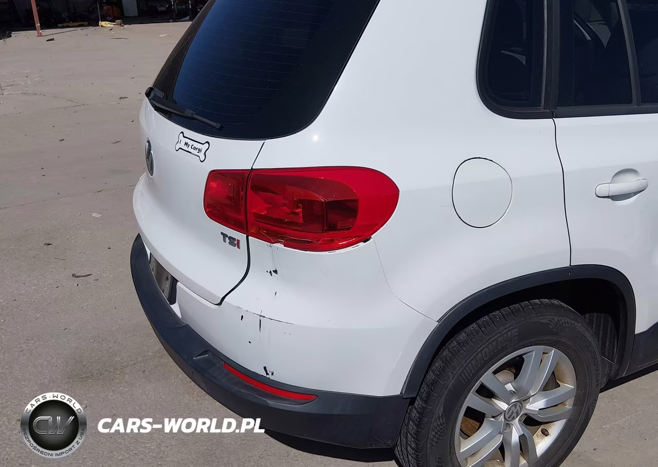 2016 Volkswagen Tiguan S VIN:WVGAV7AX3GW546997 - 6