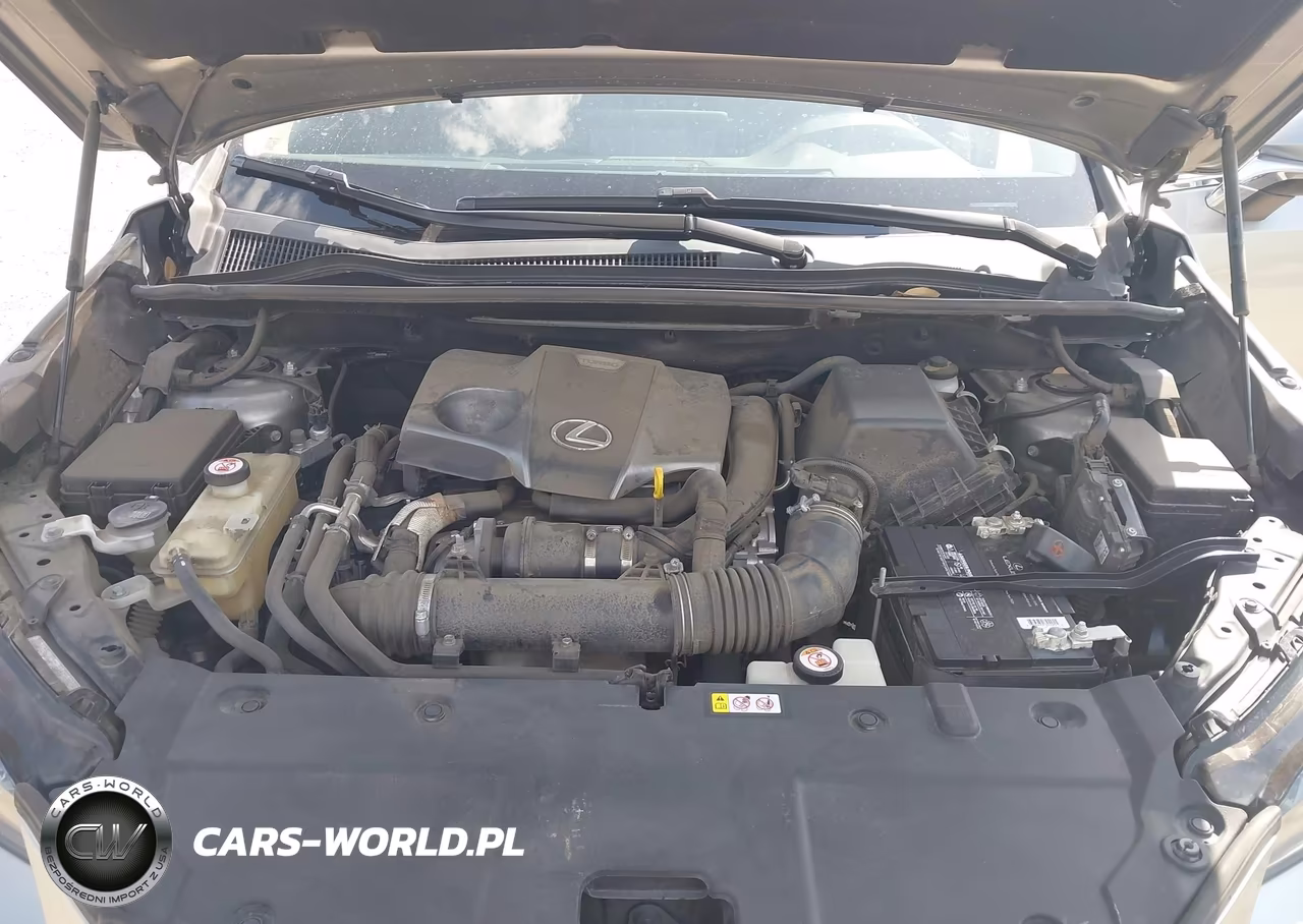 2019 Lexus Nx 300 VIN:JTJYARBZ3K2141567 - 10
