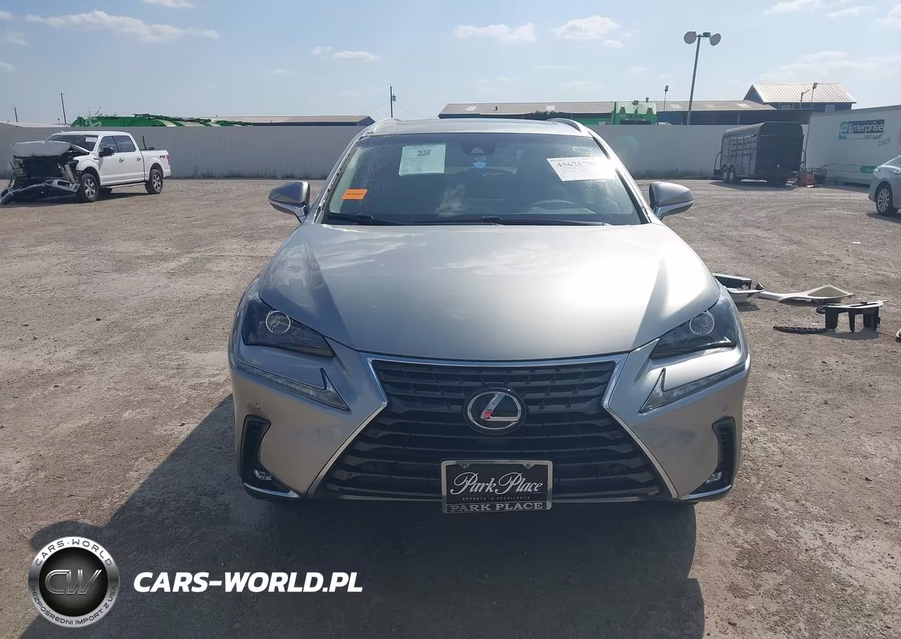 2019 Lexus Nx 300 VIN:JTJYARBZ3K2141567 - 13
