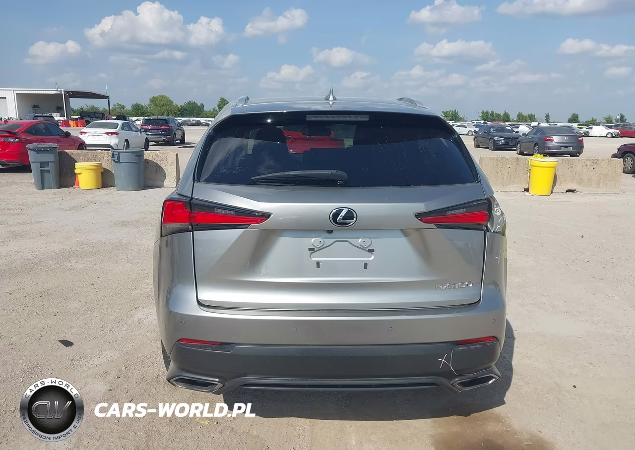 2019 Lexus Nx 300 VIN:JTJYARBZ3K2141567 - 17