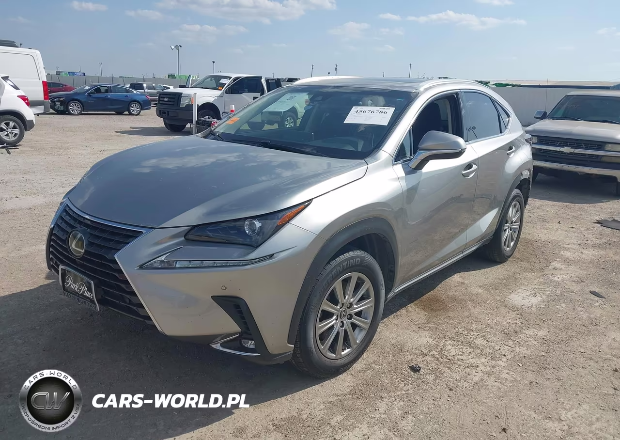 2019 Lexus Nx 300 VIN:JTJYARBZ3K2141567 - 2