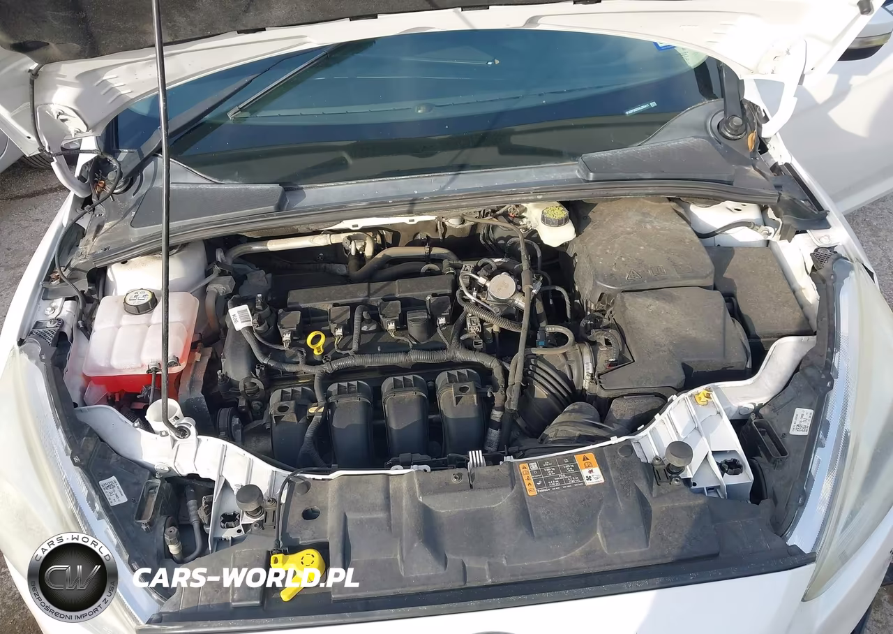 2017 Ford Focus Titanium VIN:1FADP3N2XHL299411 - 10