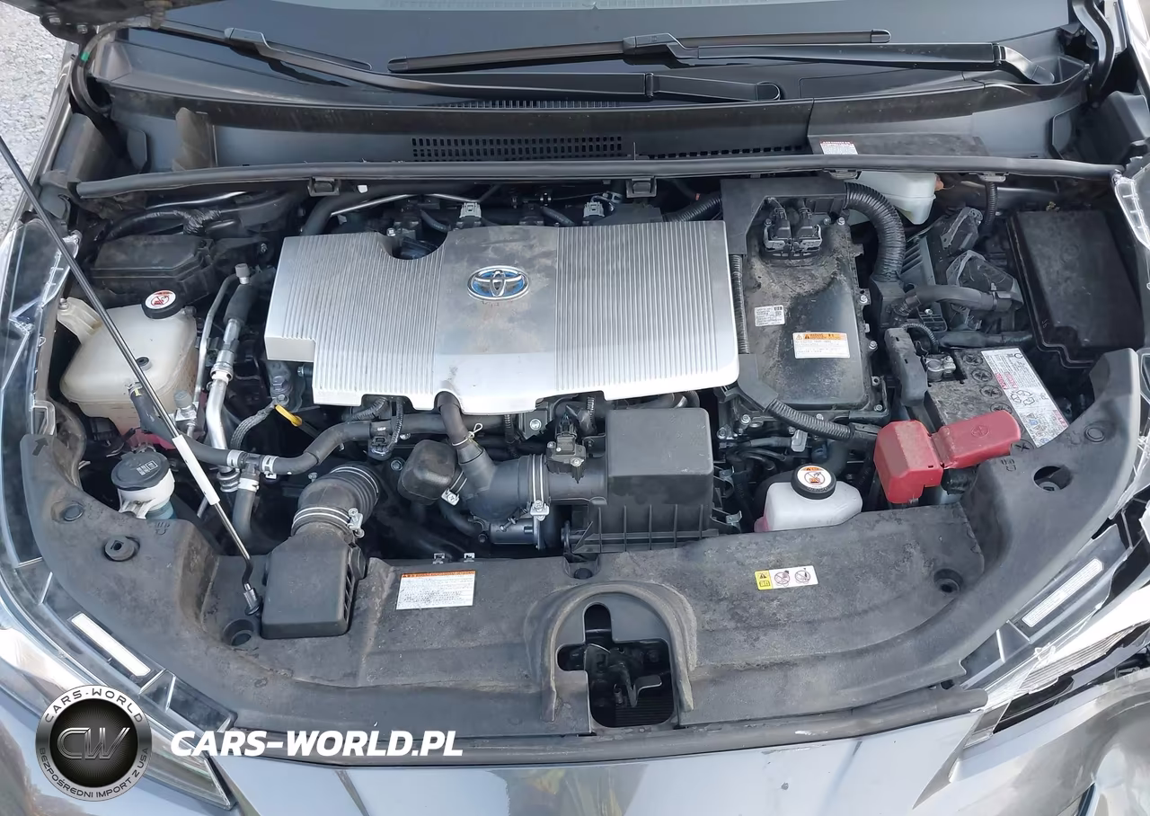 2019 Toyota Prius Limited VIN:JTDKARFU4K3084961 - 10