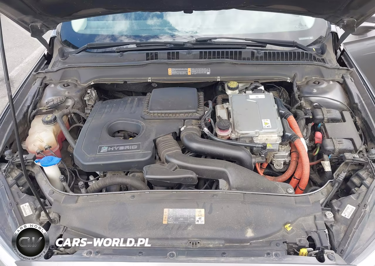 2014 Ford Fusion Hybrid Se VIN:3FA6P0LUXER366324 - 10