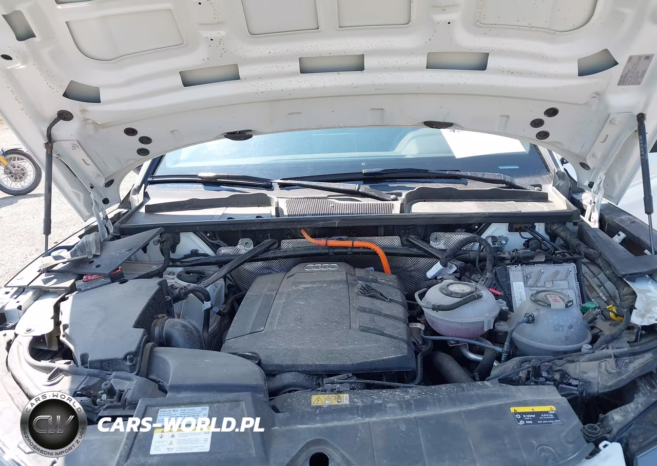 2024 Audi Q5 Premium Plus 55 Tfsi E S Line Quattro S Tronic VIN:WA1E2AFY3R2033542 - 10