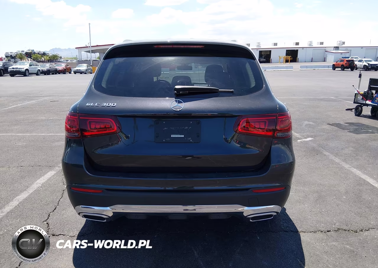 2020 Mercedes-Benz Glc 300 VIN:W1N0G8DB2LF765596 - 17