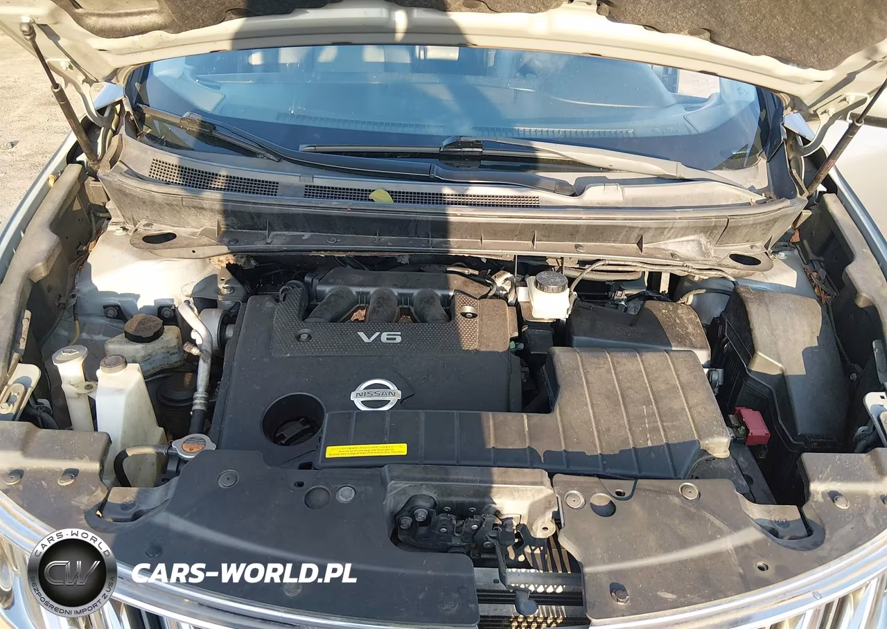 2009 Nissan Murano Sl VIN:JN8AZ18W19W207584 - 10
