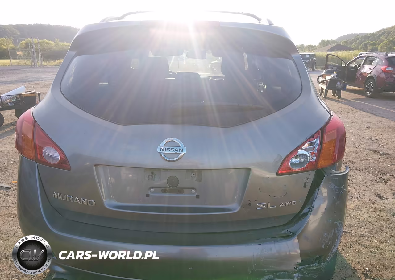 2009 Nissan Murano Sl VIN:JN8AZ18W19W207584 - 16
