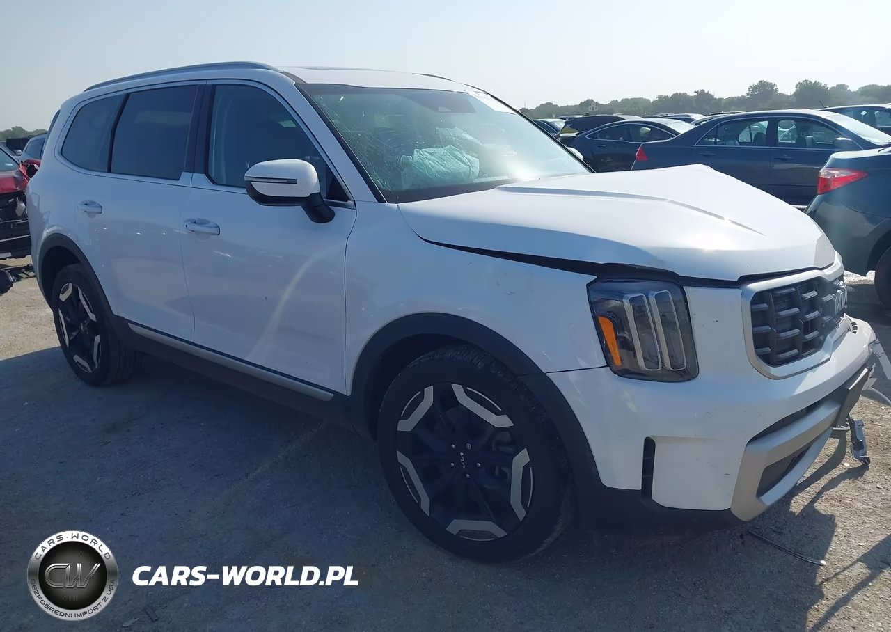 2024 Kia Telluride S VIN:5XYP64GC9RG494564 - 1