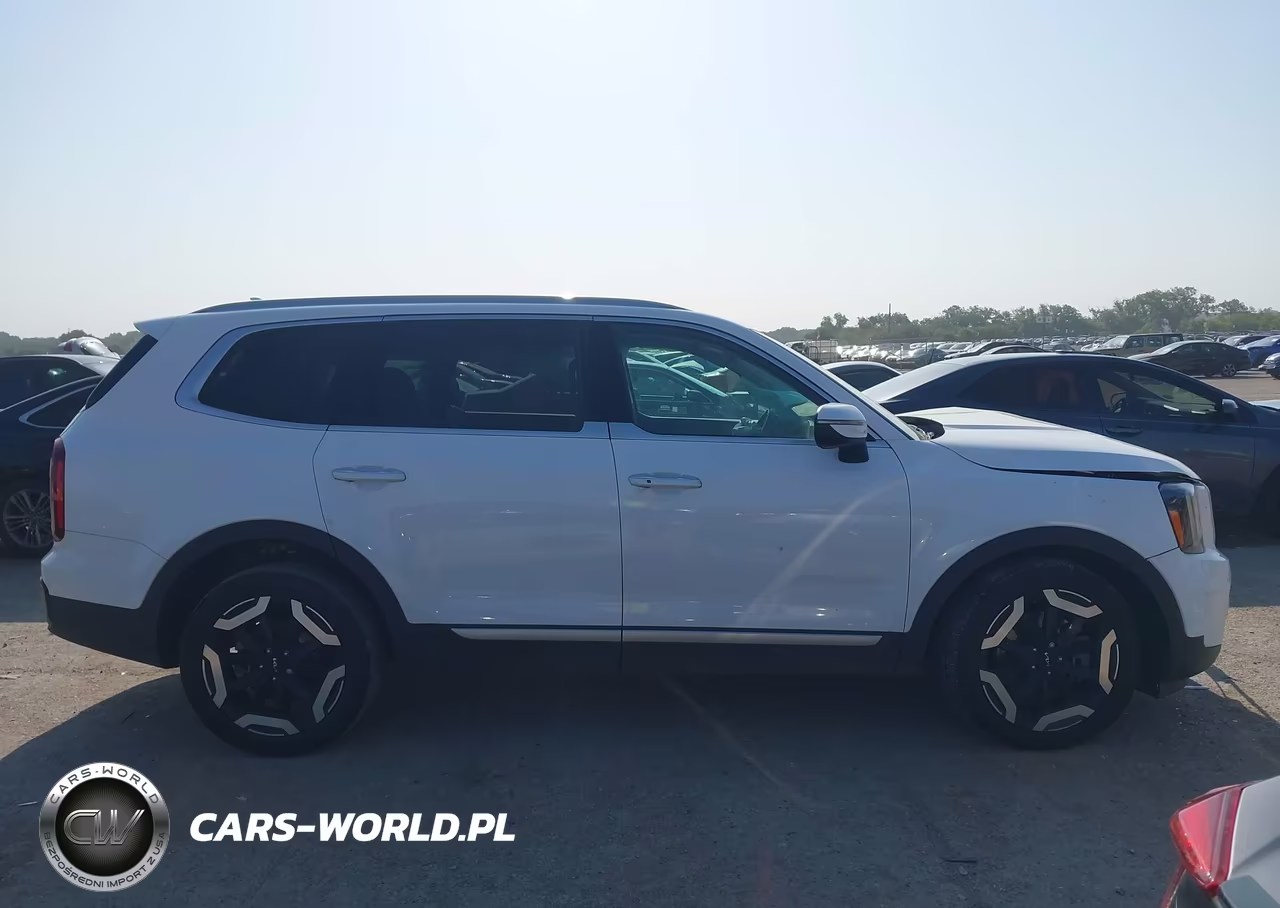 2024 Kia Telluride S VIN:5XYP64GC9RG494564 - 13