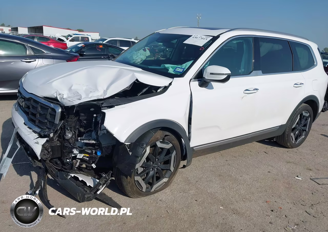 2024 Kia Telluride S VIN:5XYP64GC9RG494564 - 2