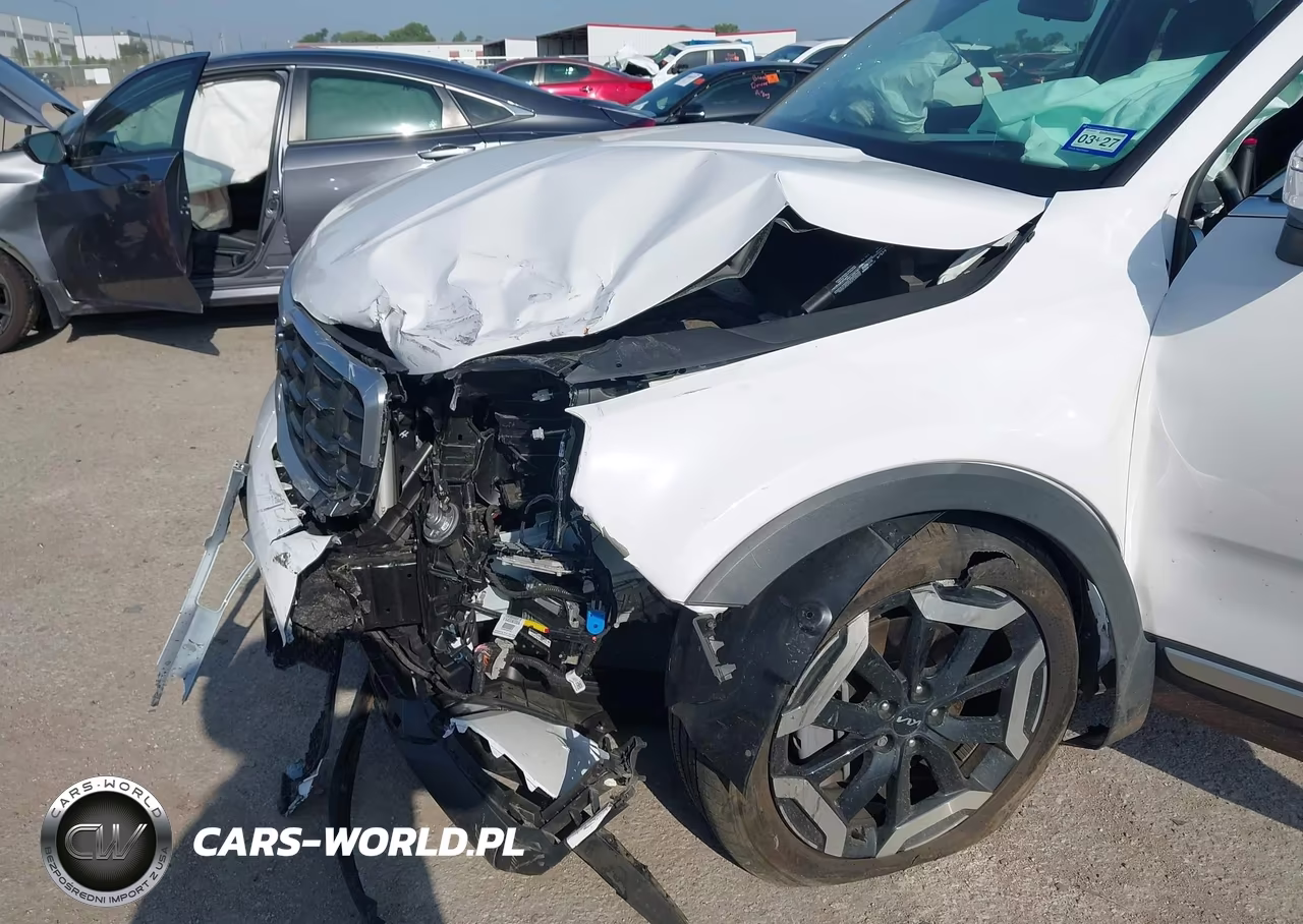 2024 Kia Telluride S VIN:5XYP64GC9RG494564 - 6