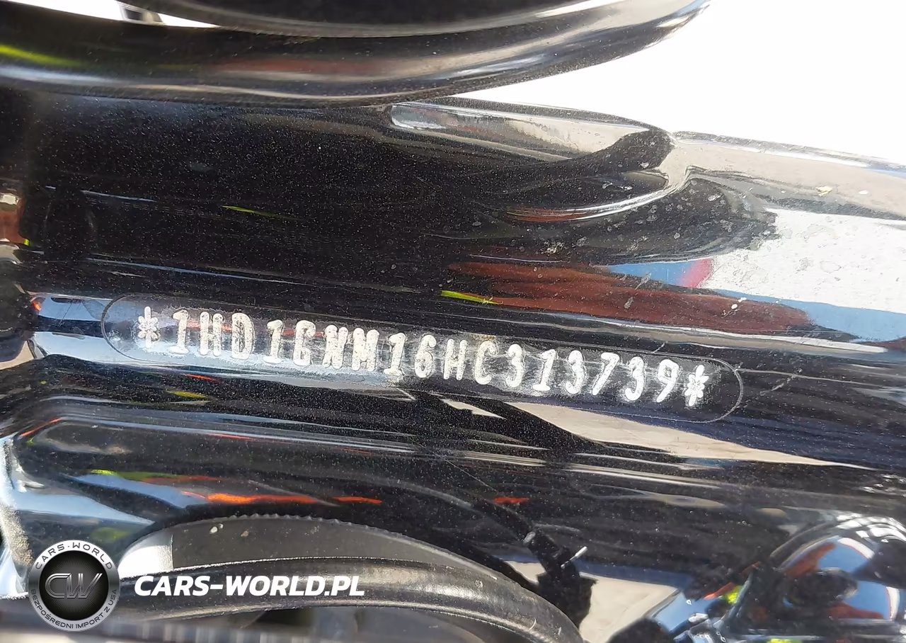 2017 Harley-Davidson Fxdl Dyna Low Rider VIN:1HD1GNM16HC313739 - 10