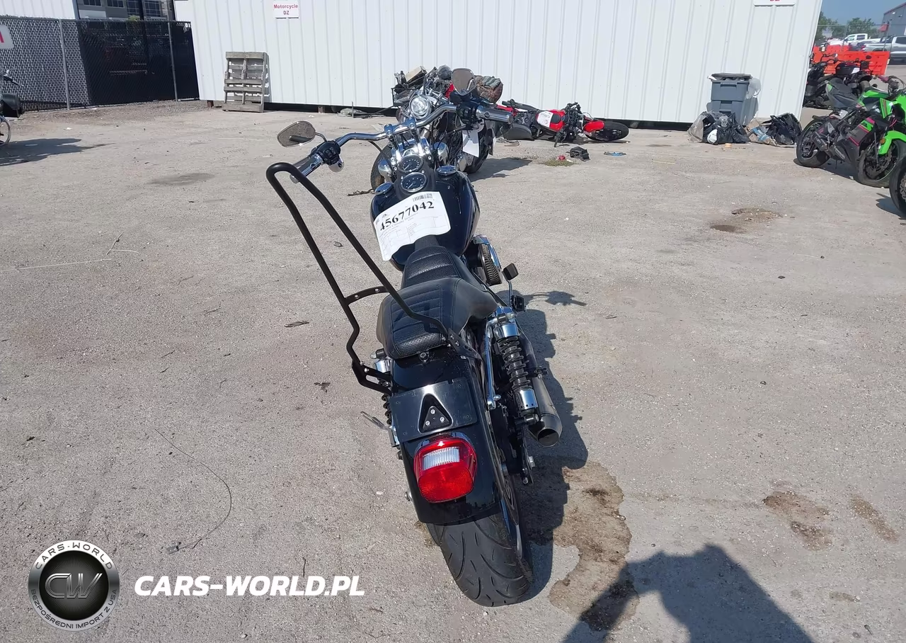 2017 Harley-Davidson Fxdl Dyna Low Rider VIN:1HD1GNM16HC313739 - 6