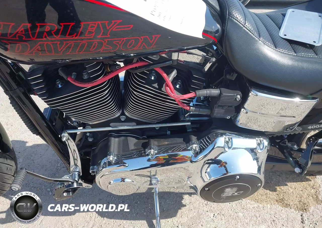 2017 Harley-Davidson Fxdl Dyna Low Rider VIN:1HD1GNM16HC313739 - 9