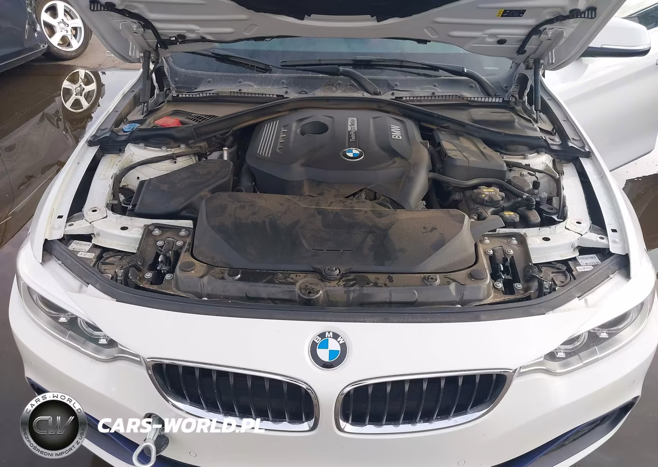 2017 BMW 430I Gran Coupe VIN:WBA4F7C5XHG787409 - 10