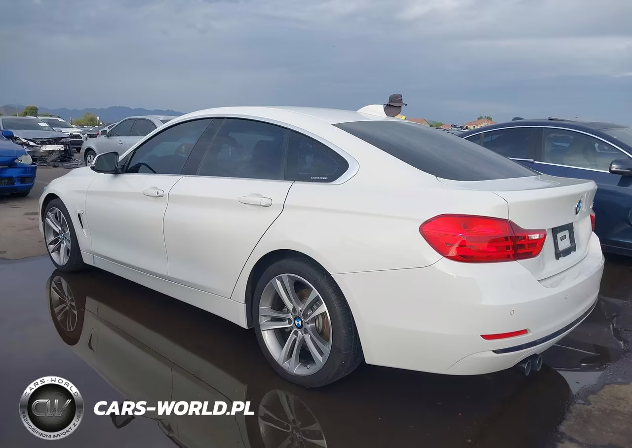2017 BMW 430I Gran Coupe VIN:WBA4F7C5XHG787409 - 3