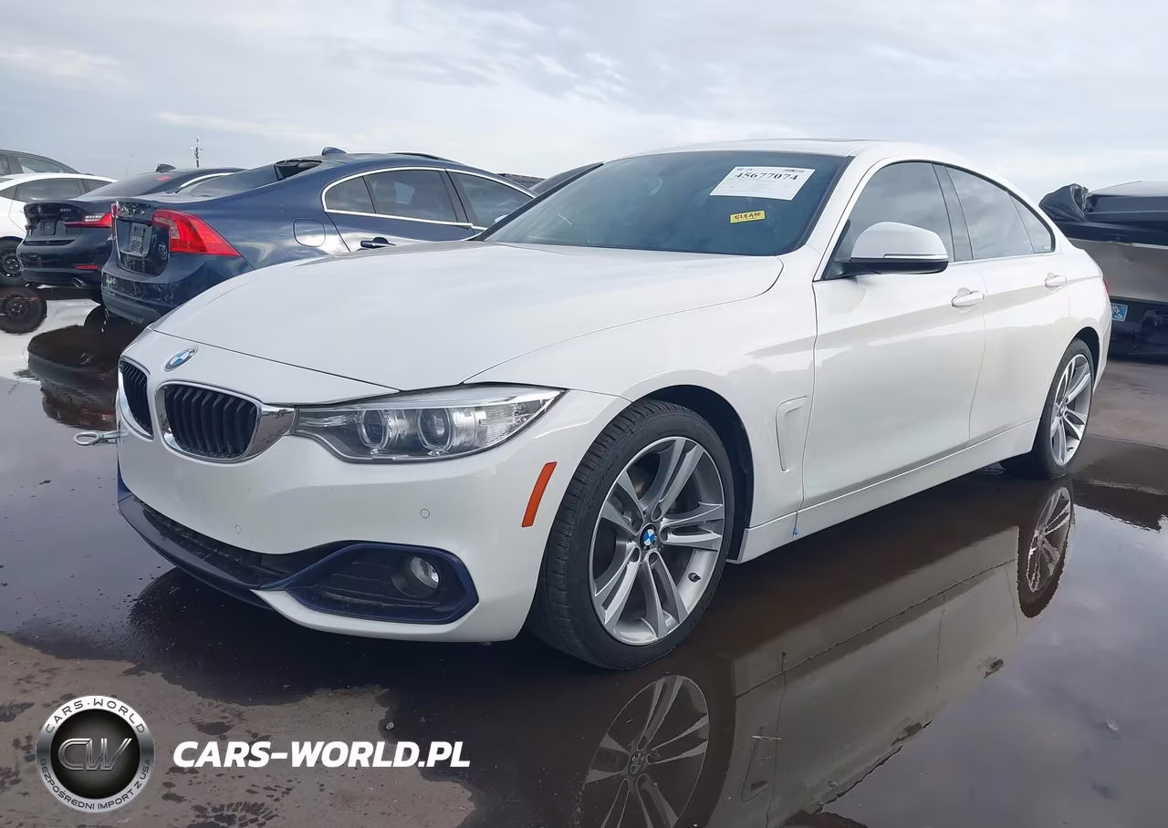 2017 BMW 430I Gran Coupe VIN:WBA4F7C5XHG787409 - 6
