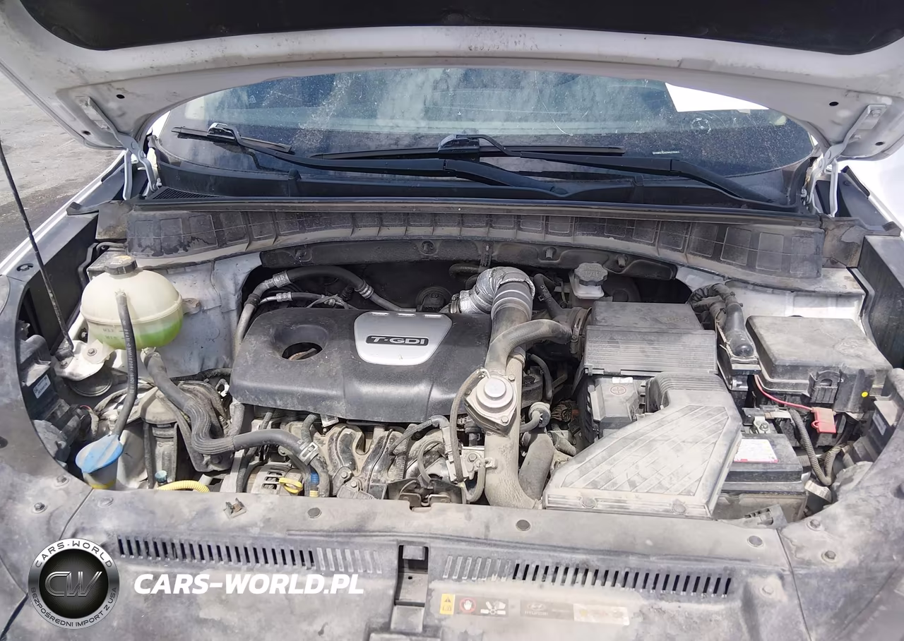 2017 Hyundai Tucson Limited VIN:KM8J3CA29HU276951 - 10
